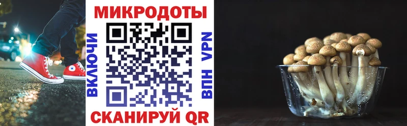 OMG ССЫЛКА  Кропоткин  Галлюциногенные грибы ЛСД 