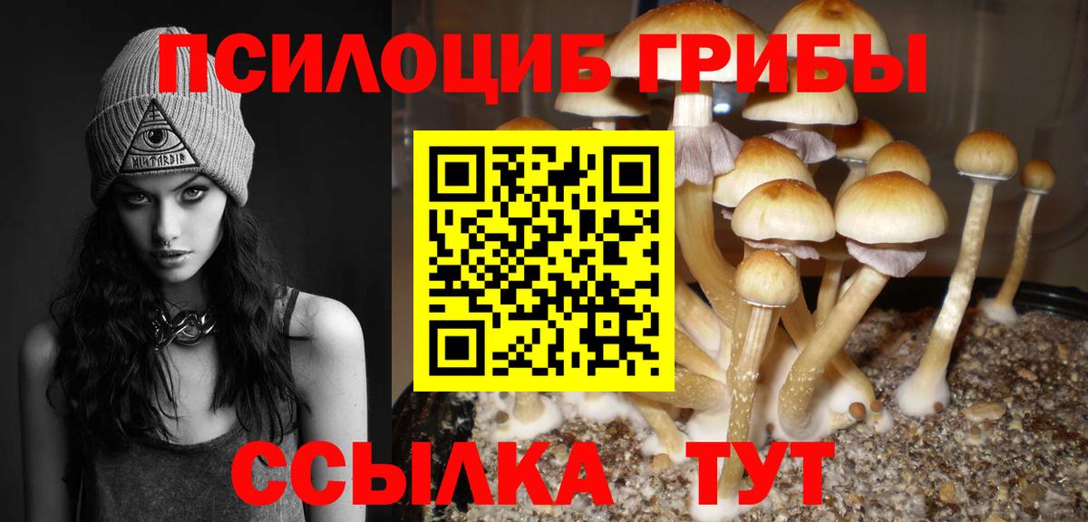 Псилоцибиновые грибы Cubensis Кропоткин